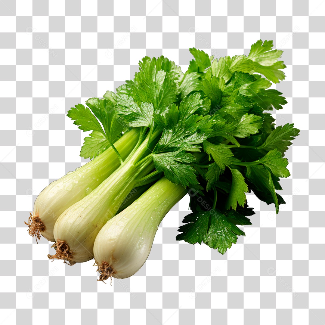 Salsão PNG Transparente