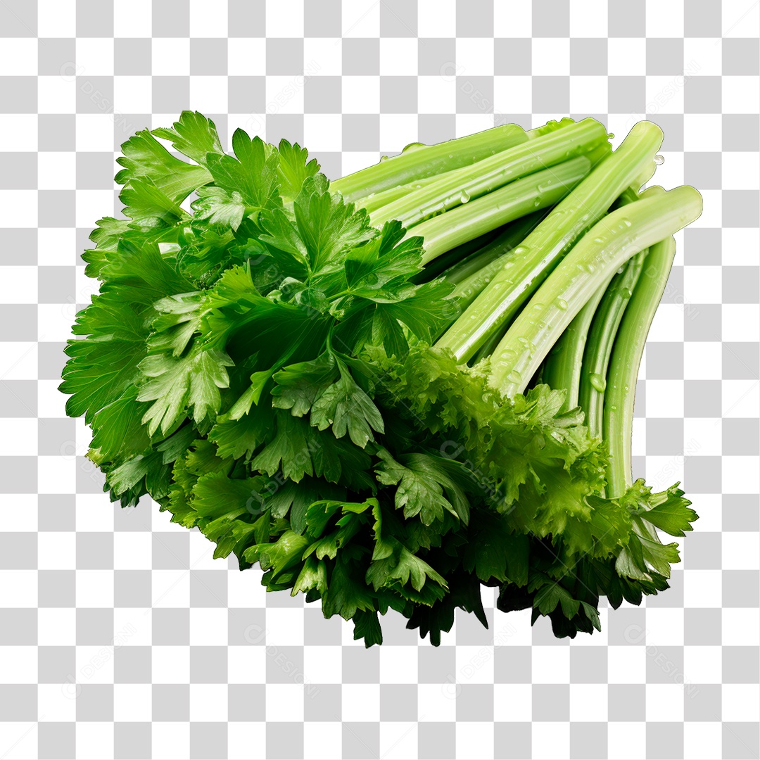 Salsão PNG Transparente