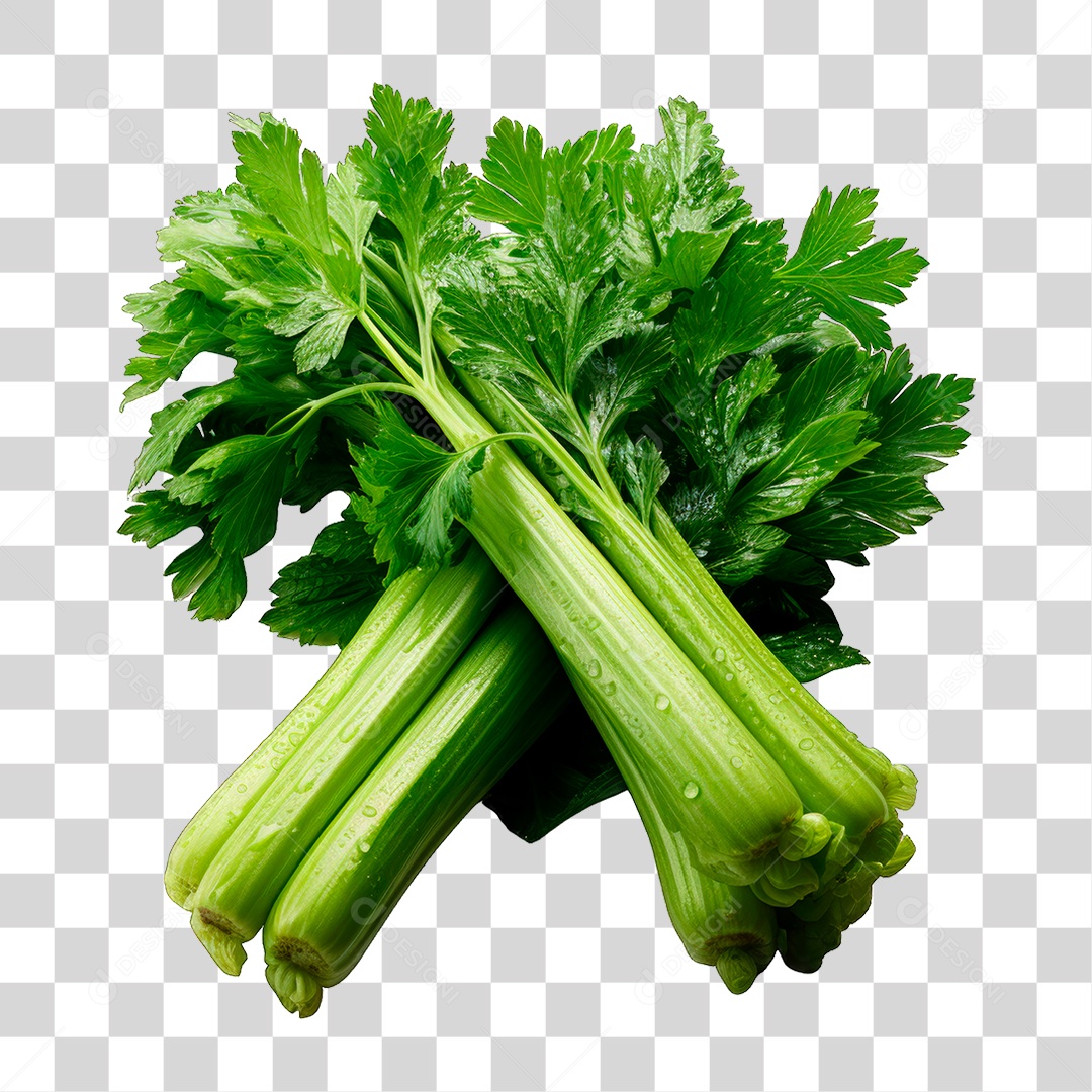 Salsão PNG Transparente