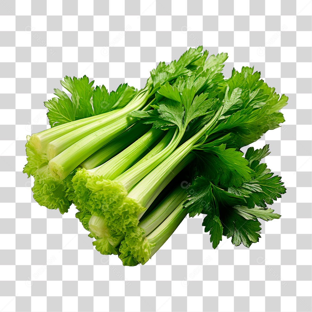 Salsão PNG Transparente