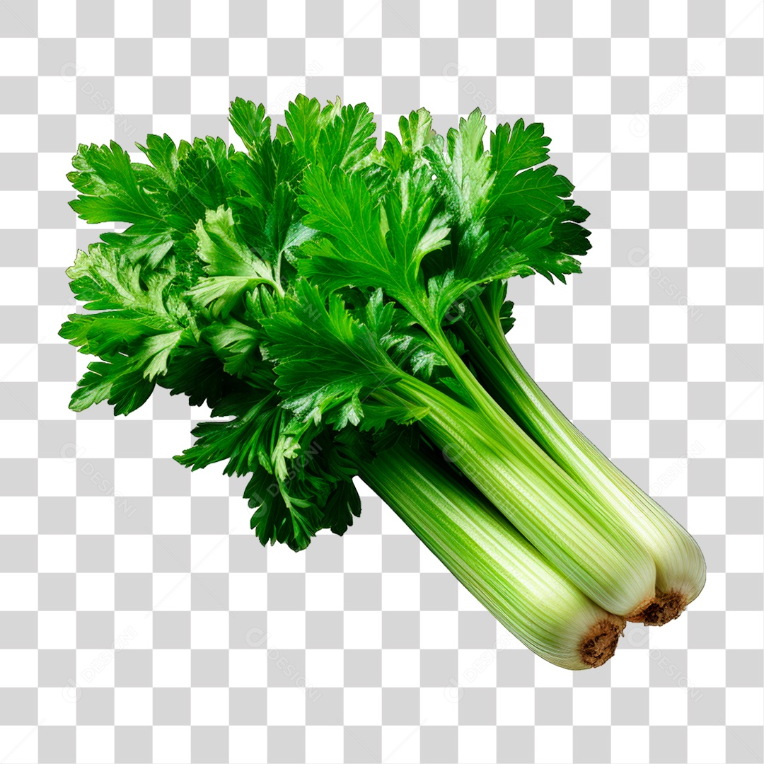 Salsão PNG Transparente