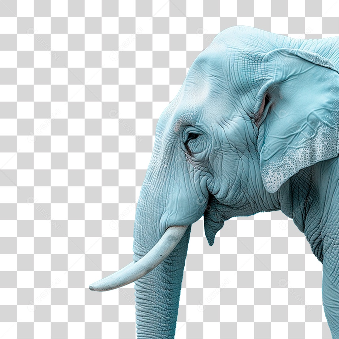 Elefante PNG Transparente