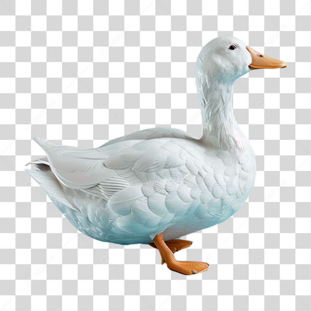 Pato Branco PNG Transparente