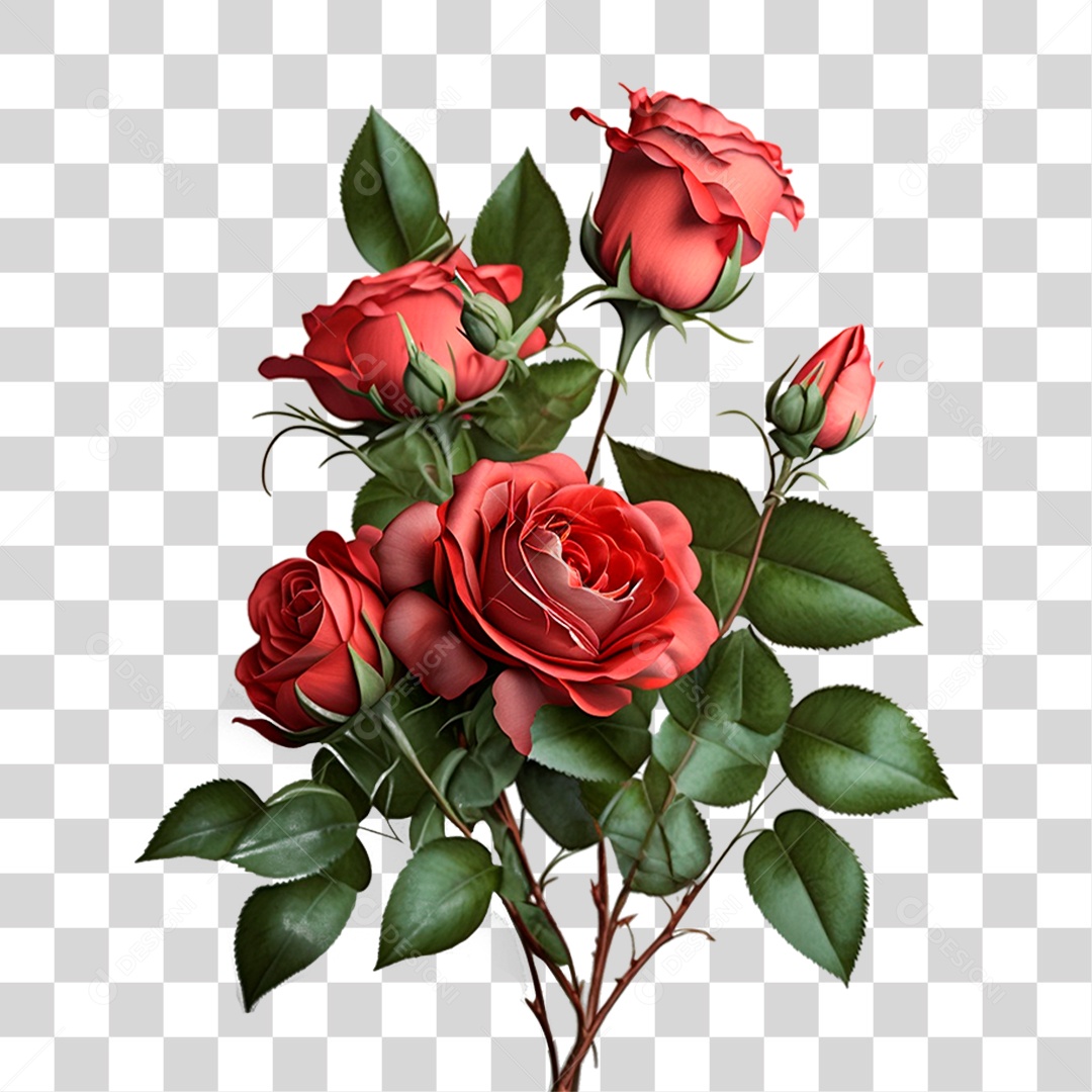 Rosa Vermelha PNG Transparente