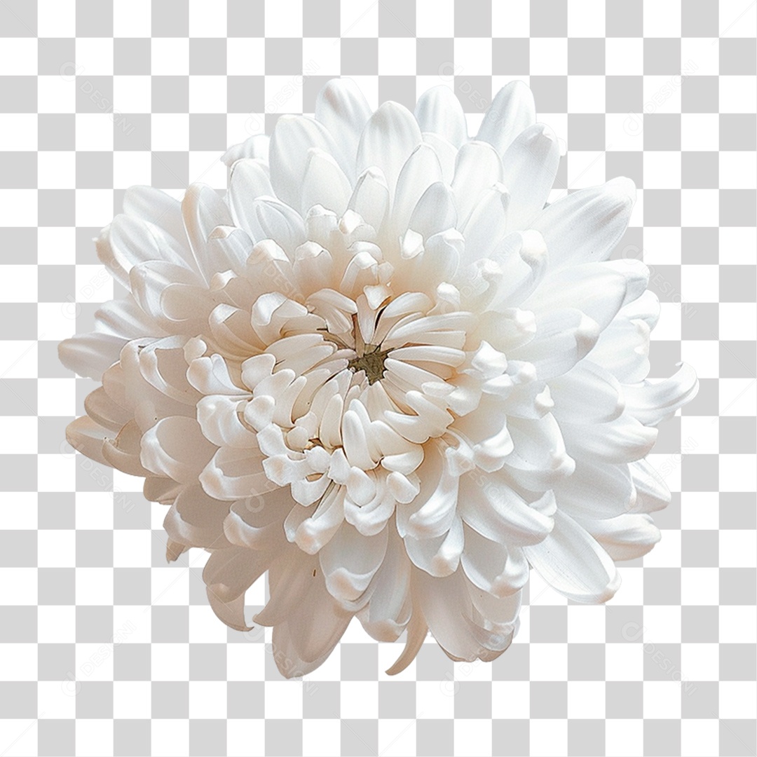 Flor Branca PNG Transparente