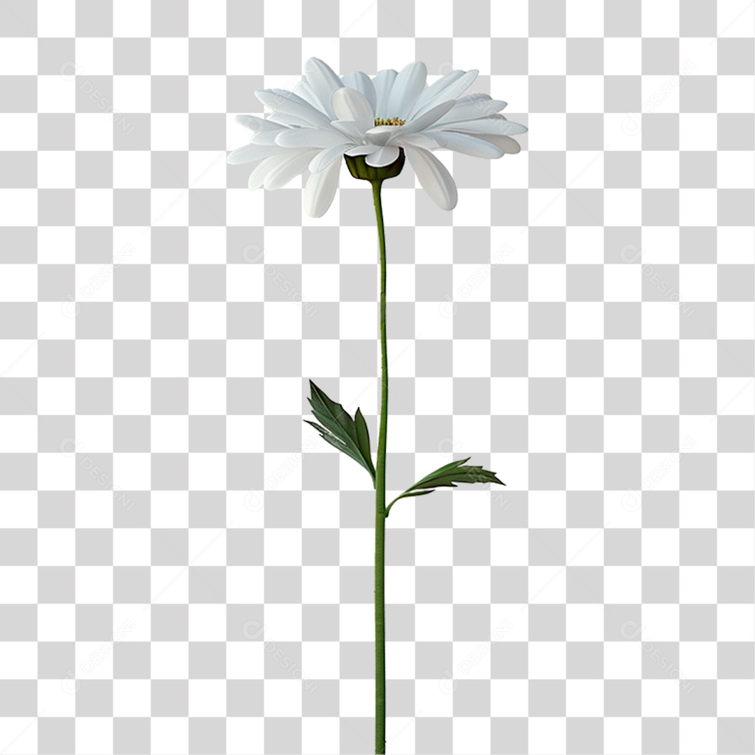 Flor Branca PNG Transparente