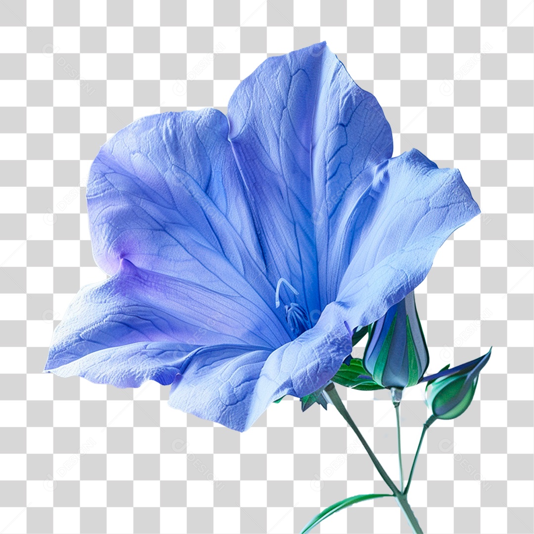 Flor Azul PNG Transparente