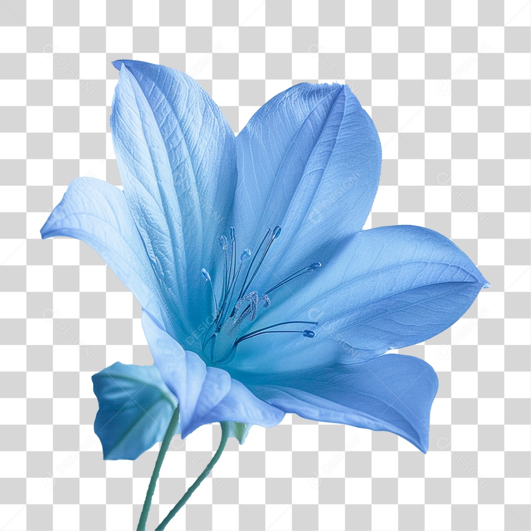 Flor Azul PNG Transparente