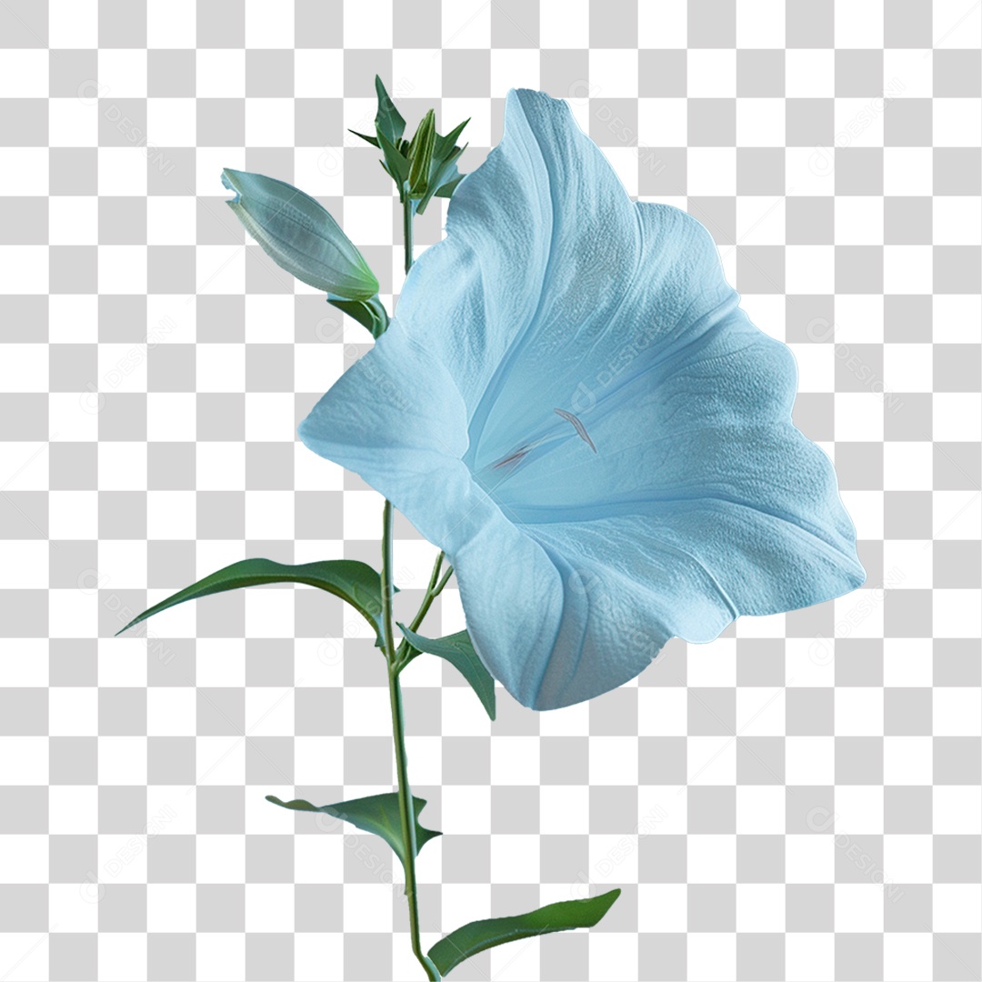Flor Azul PNG Transparente