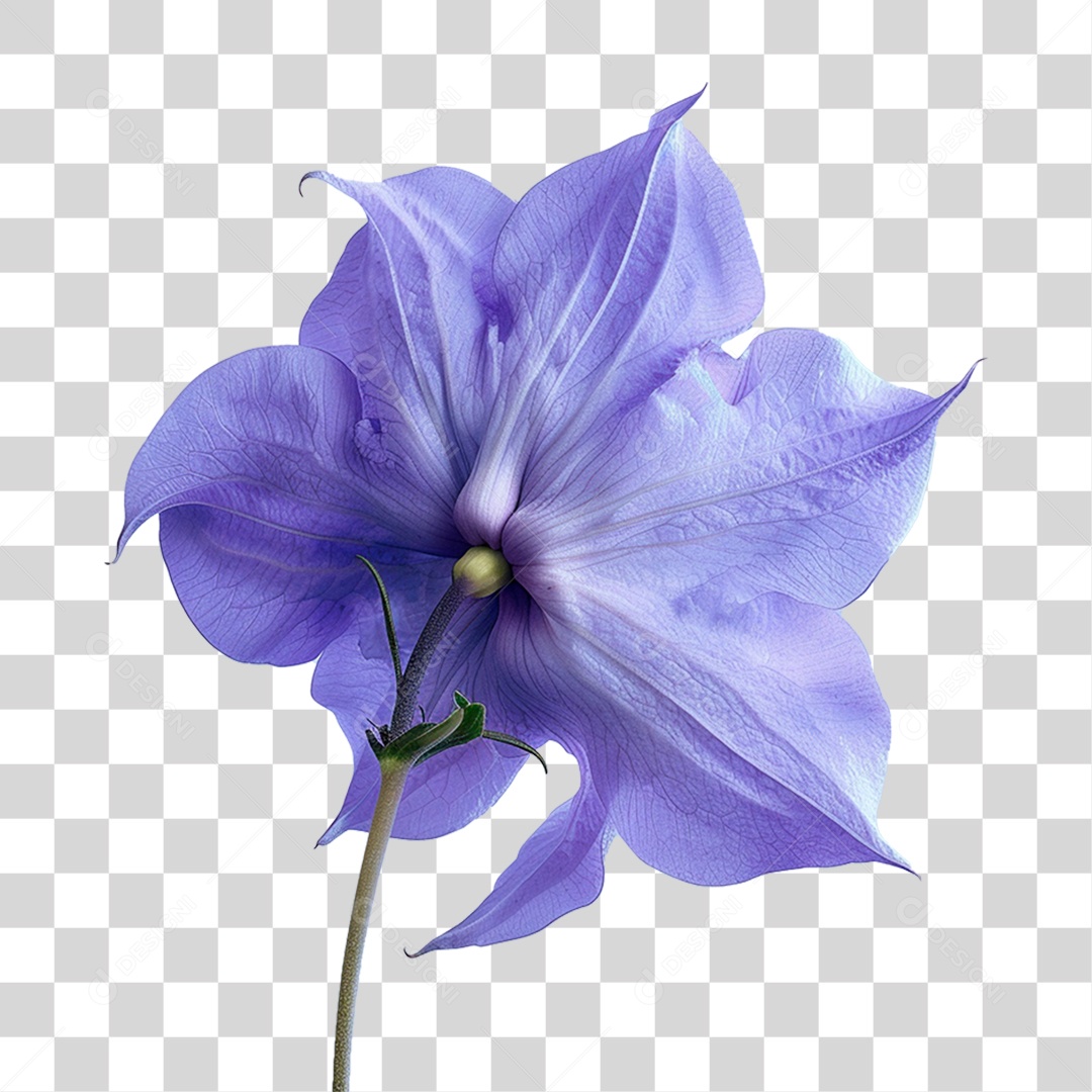 Flor Azul PNG Transparente