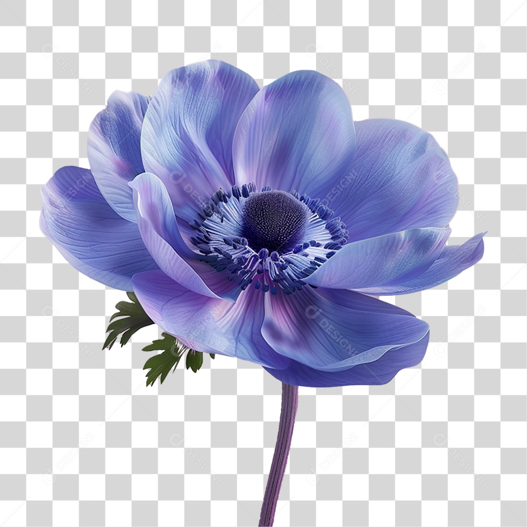 Flor Azul PNG Transparente
