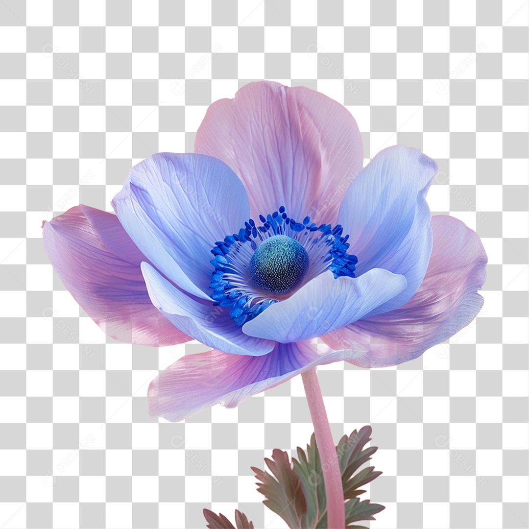 Flor Azul PNG Transparente