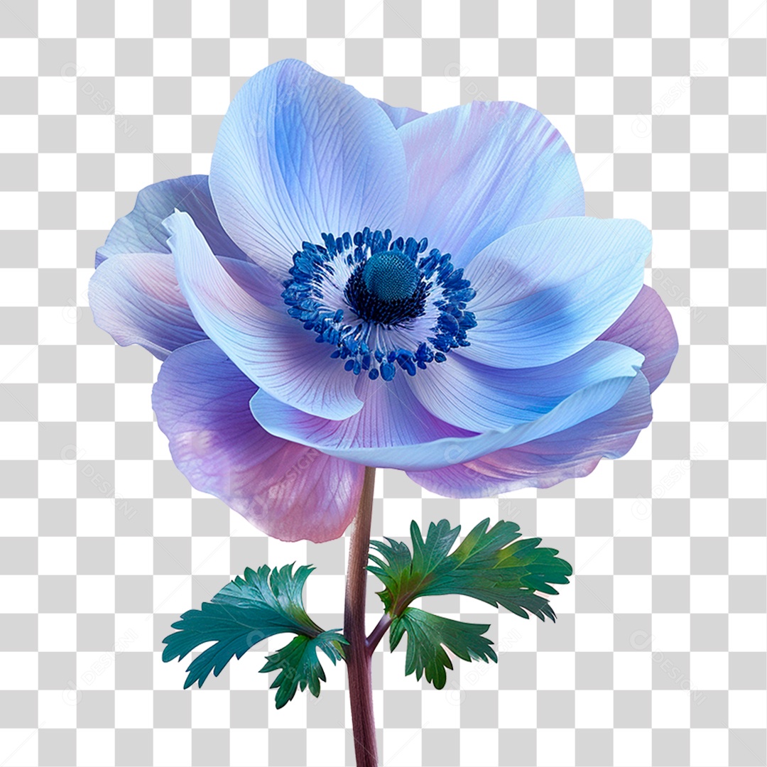 Flor Azul PNG Transparente