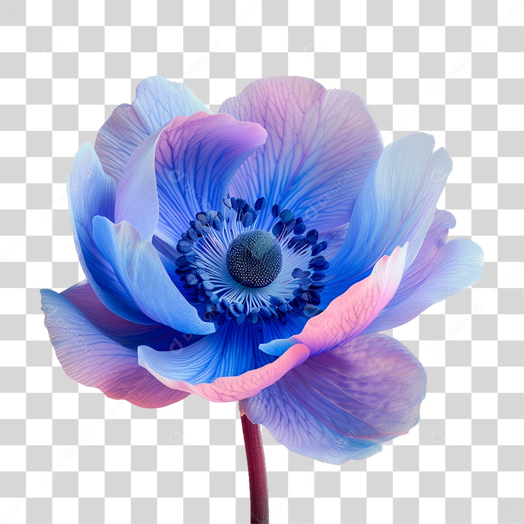 Flor Azul PNG Transparente