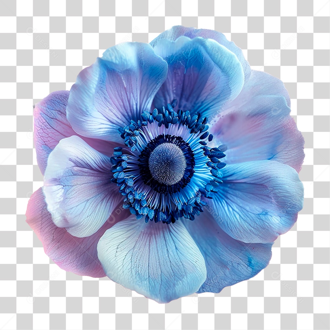 Flor Azul PNG Transparente