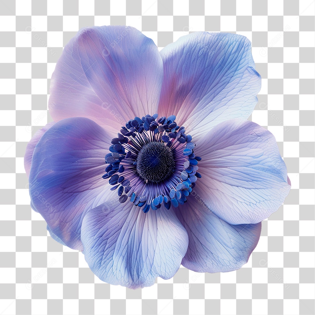 Flor Roxa PNG Transparente