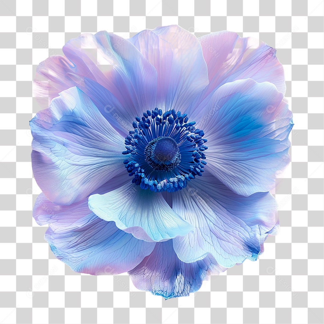 Flor Roxa PNG Transparente