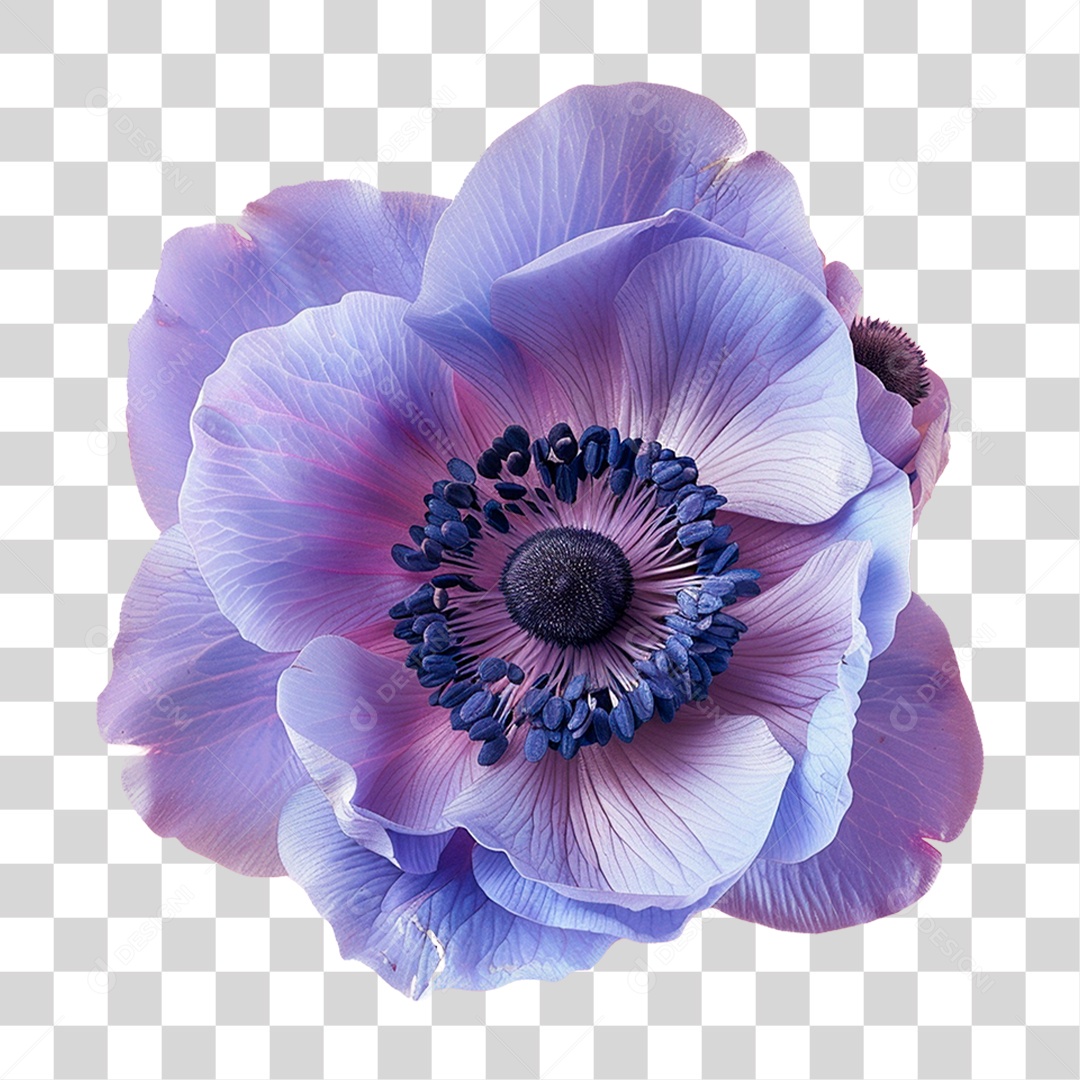 Flor Roxa PNG Transparente