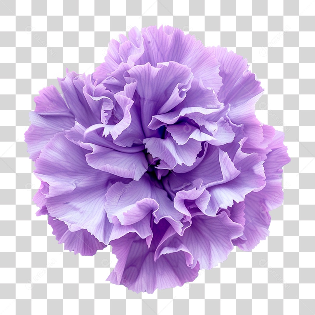 Flor Roxa PNG Transparente