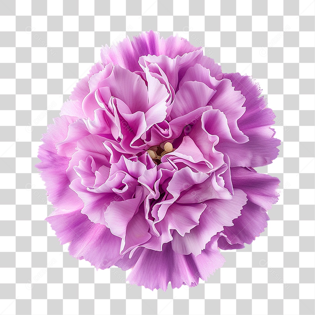 Flor Roxa PNG Transparente