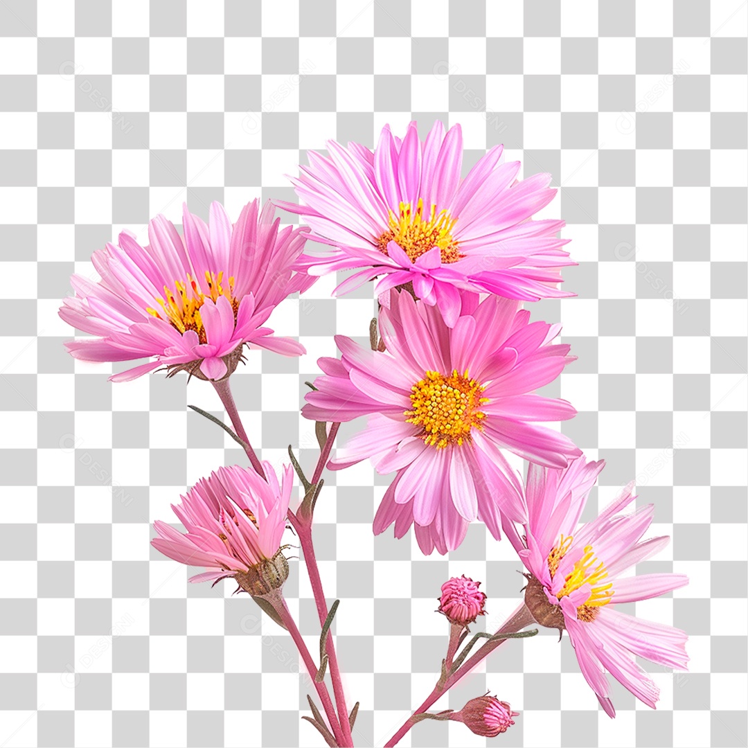 Flores Rosa PNG Transparente