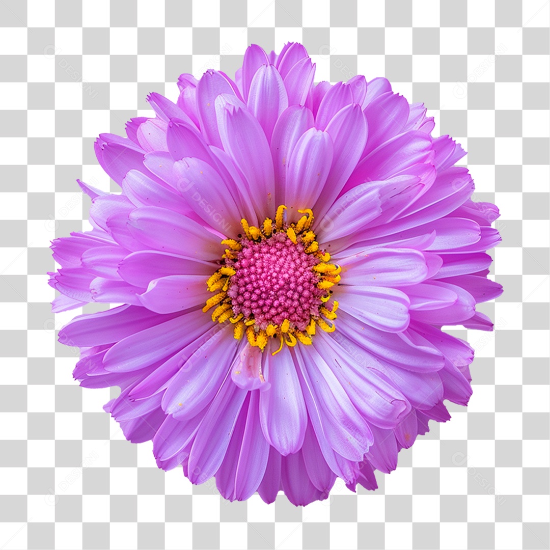 Flor Roxa PNG Transparente