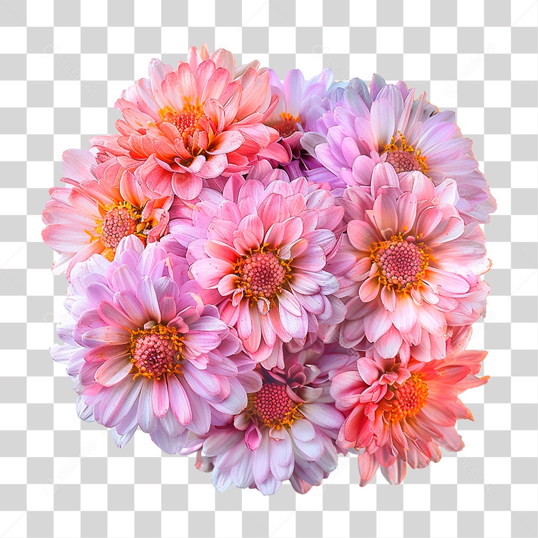 Flores Rosas PNG Transparente