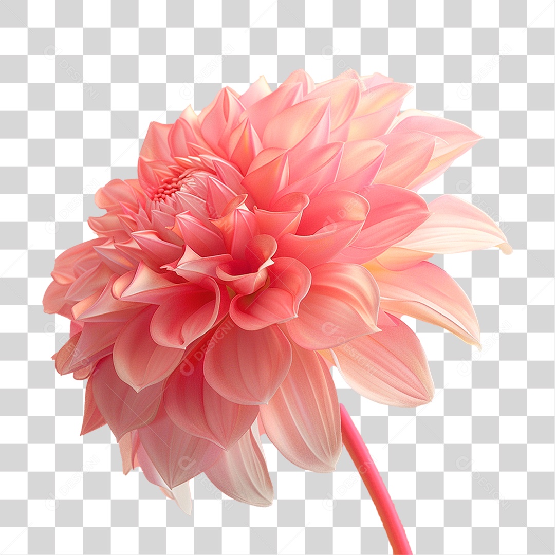 Flor Dália PNG Transparente