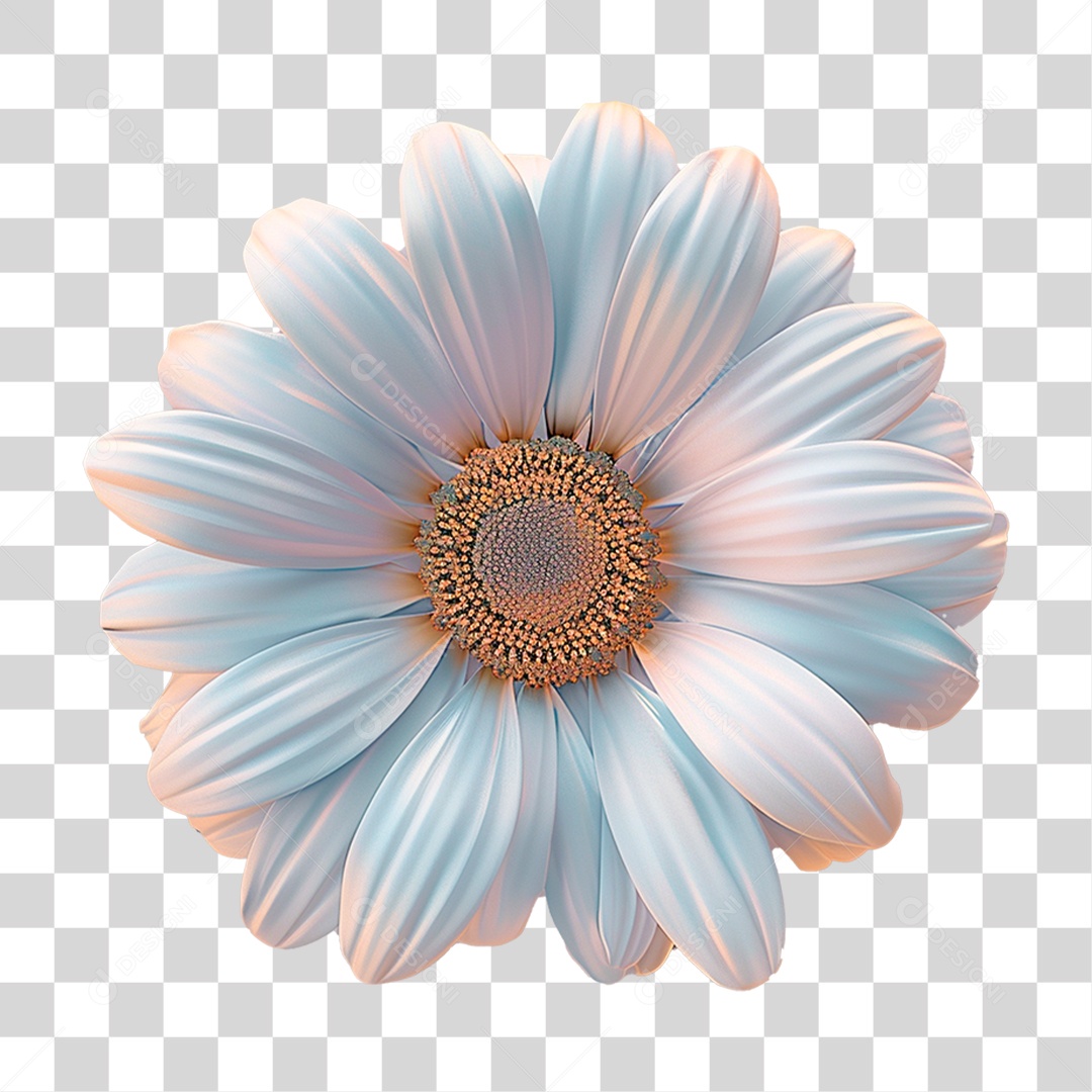 Flor Margarida PNG Transparente