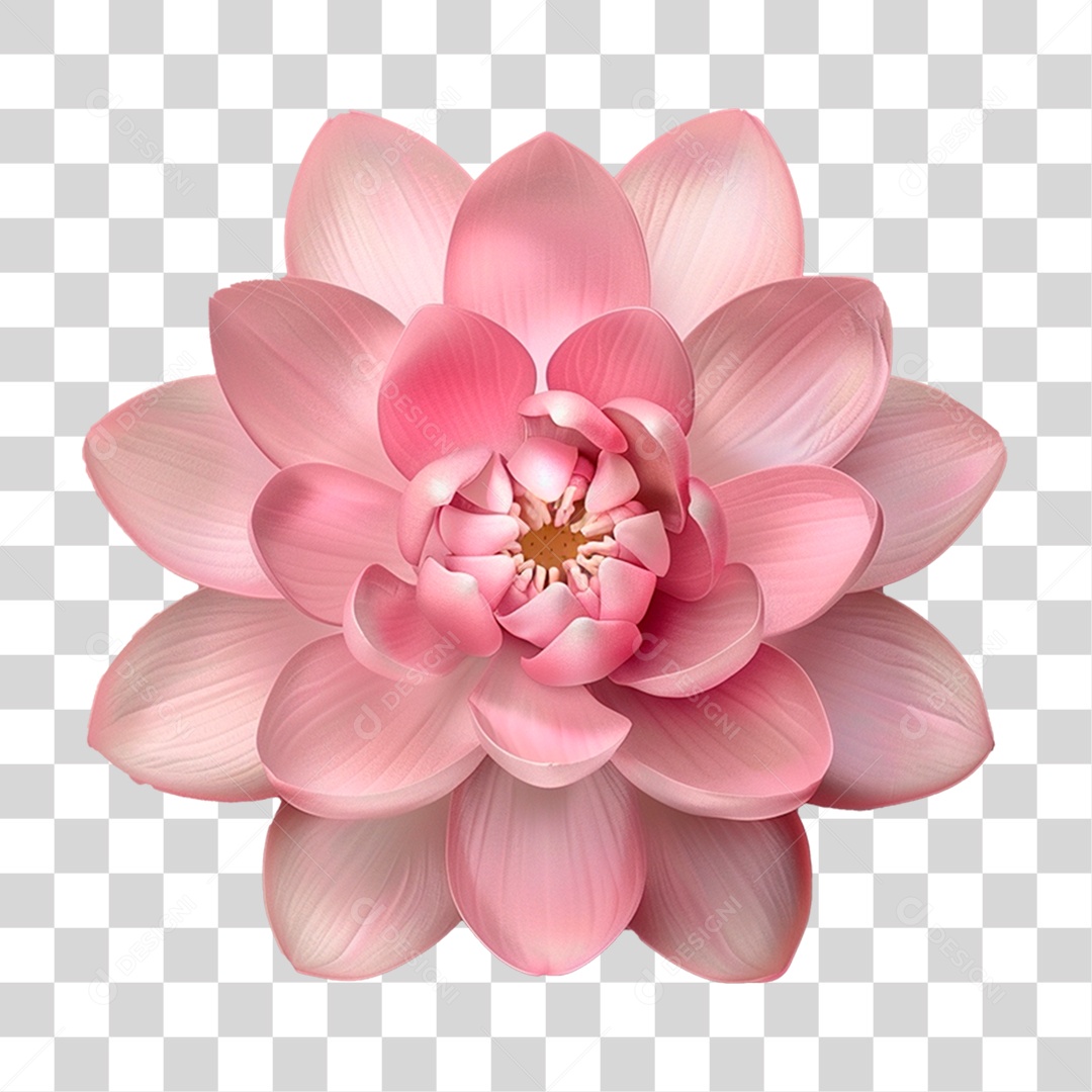 Flor de Lótus PNG Transparente