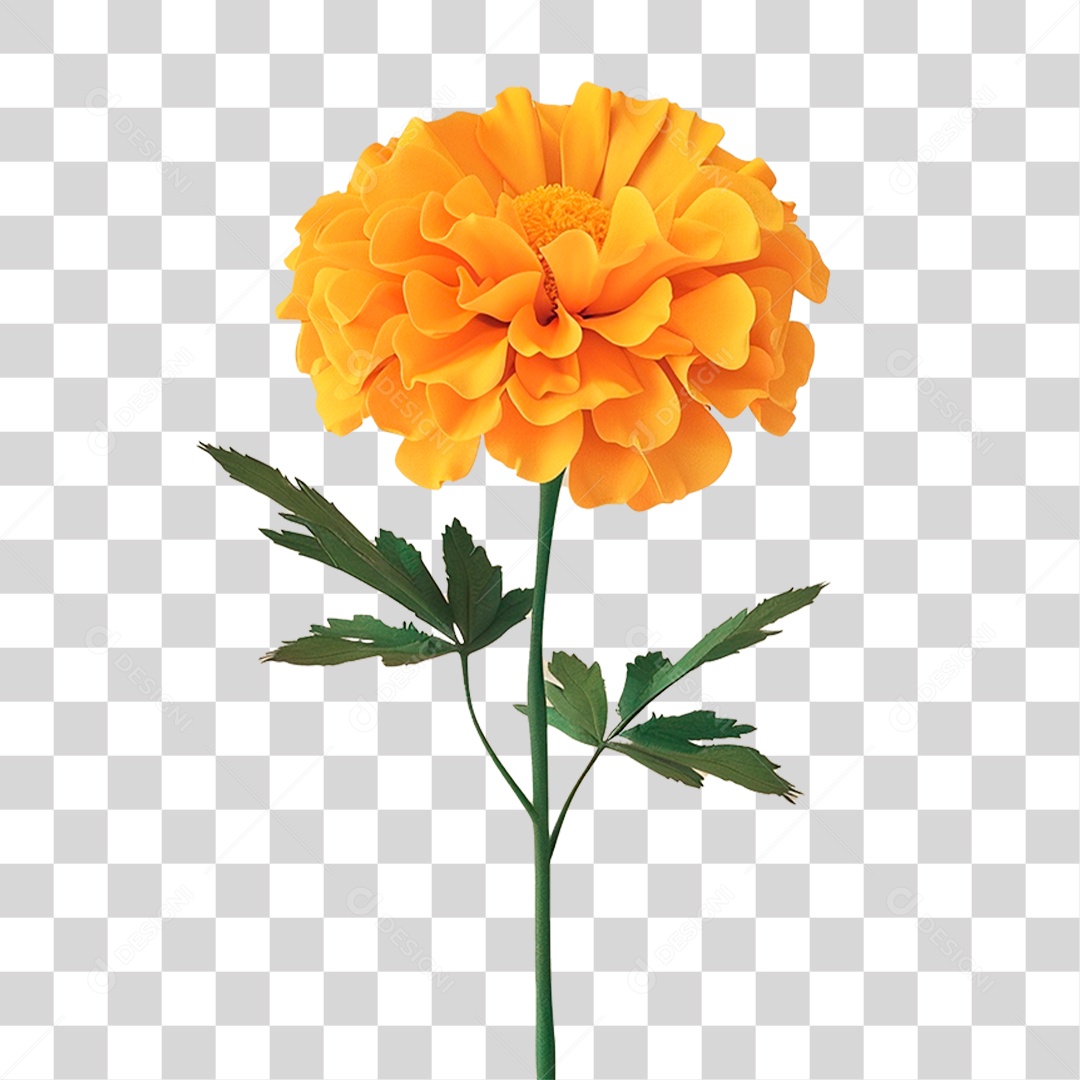 Flor Amarela PNG Transparente