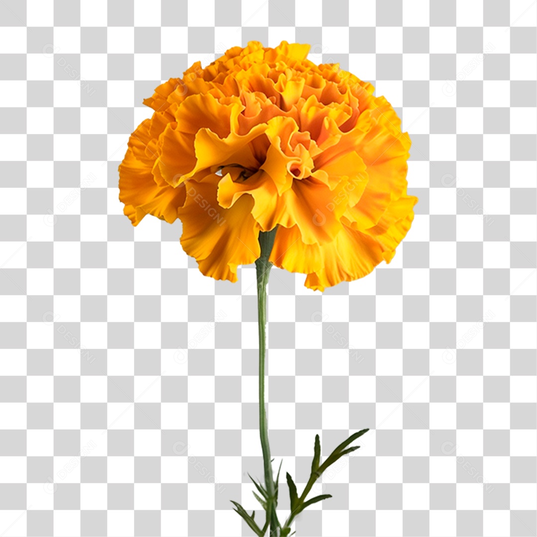 Flor Amarela PNG Transparente