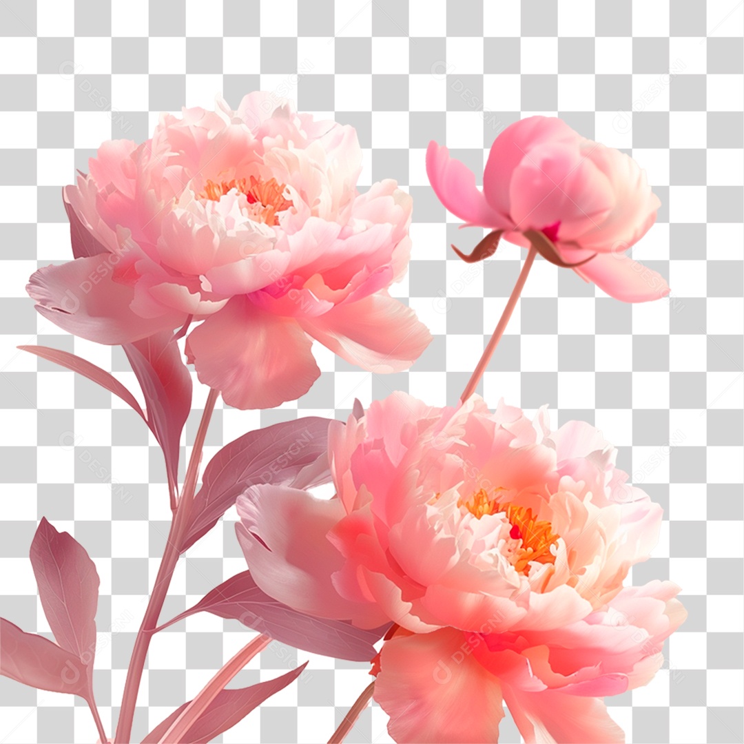 Flores Rosas PNG Transparente
