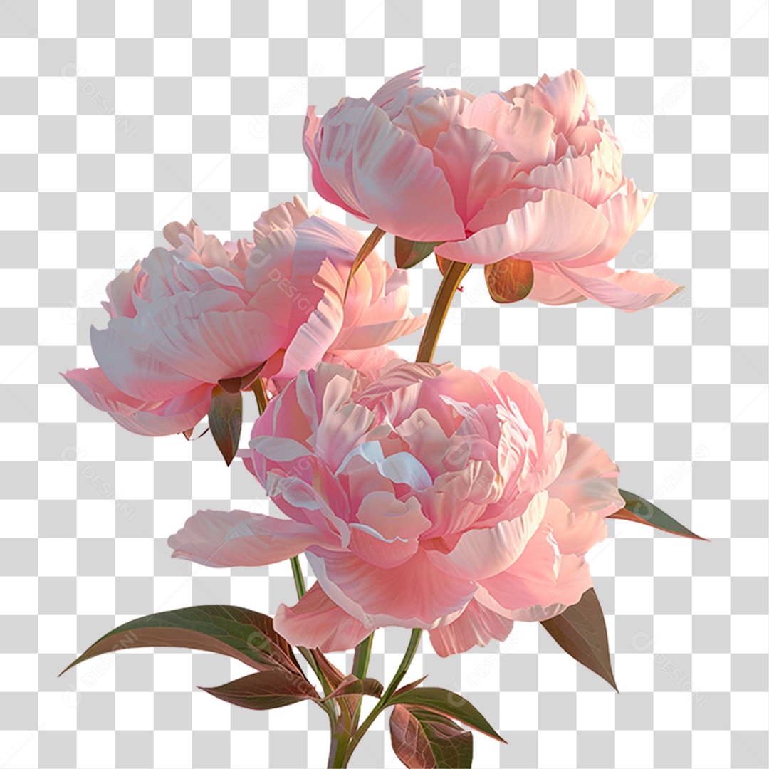 Flores Rosas PNG Transparente