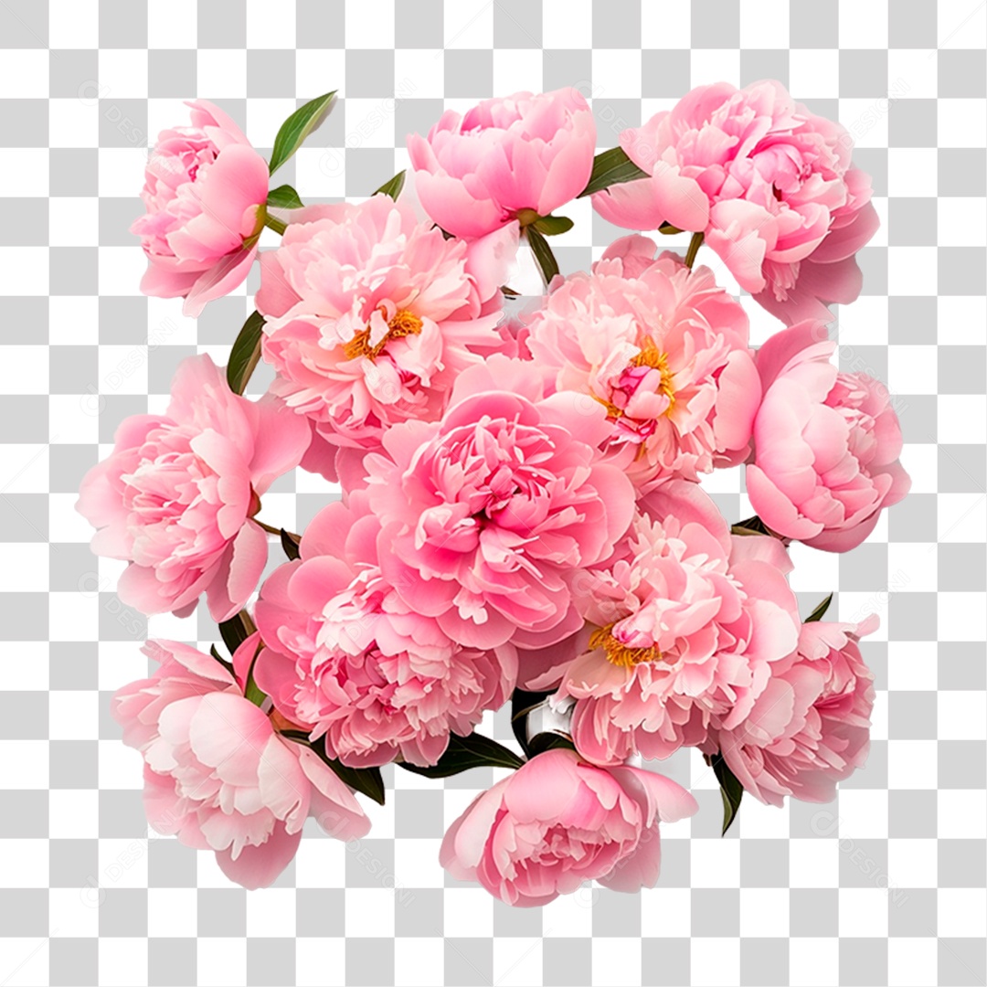 Flores Rosas PNG Transparente