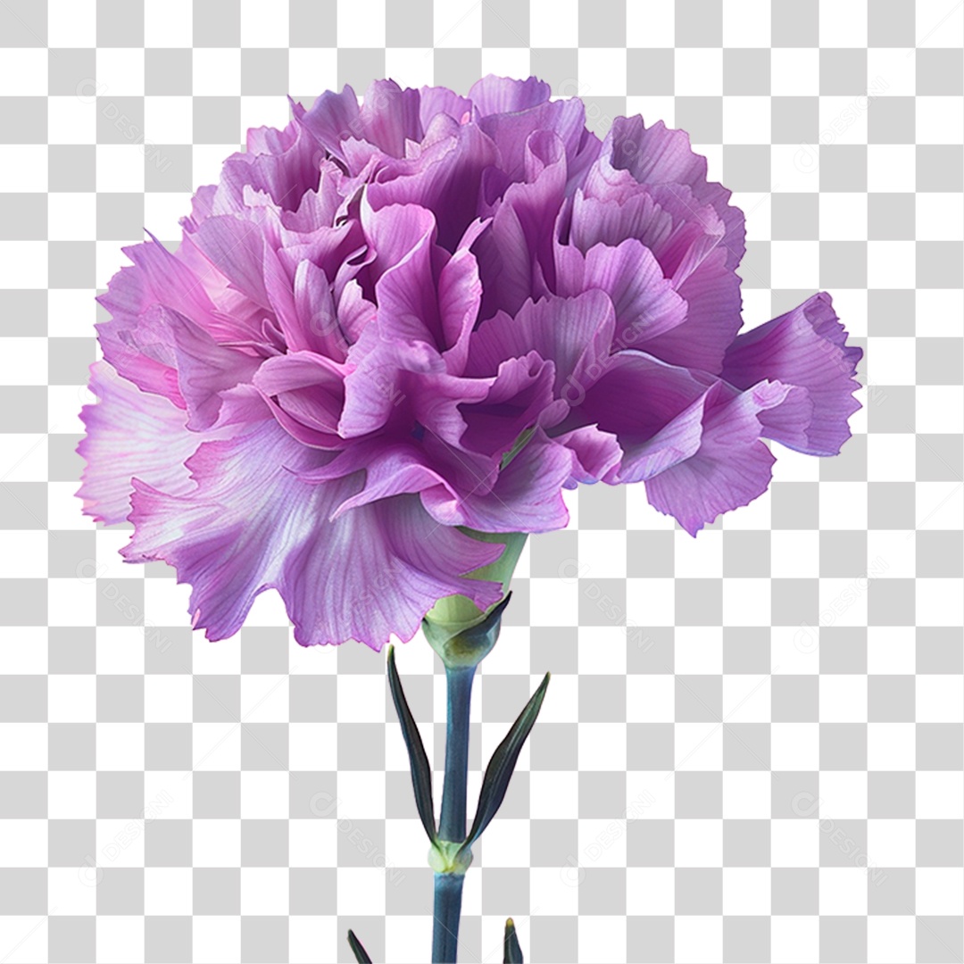 Flor Roxa PNG Transparente