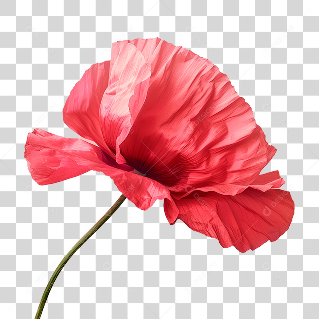 Planta Flor Vermelha PNG Transparente