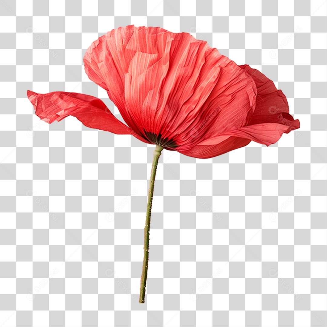 Planta Flor Vermelha PNG Transparente