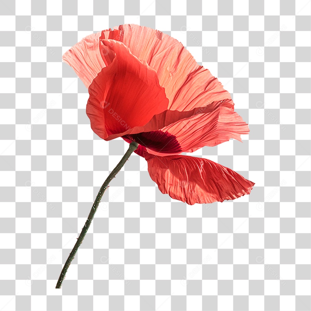 Planta Flor Vermelha PNG Transparente