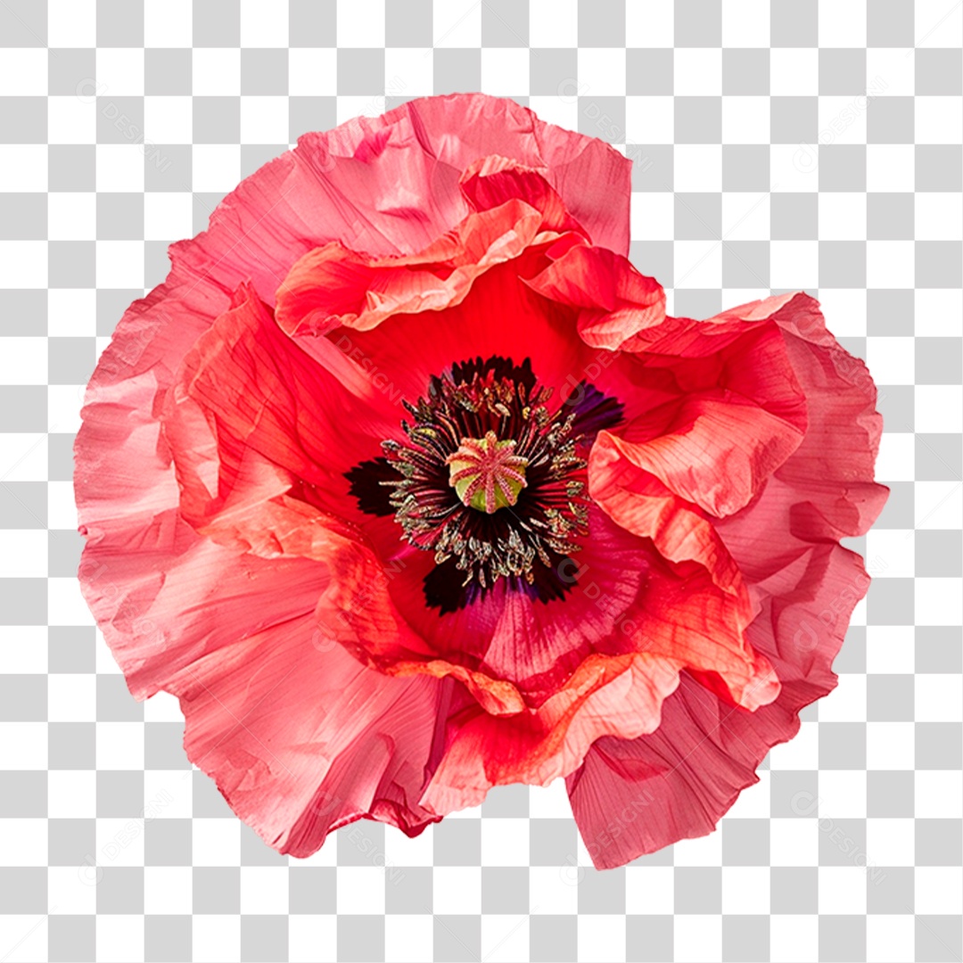Flor Vermelha PNG Transparente