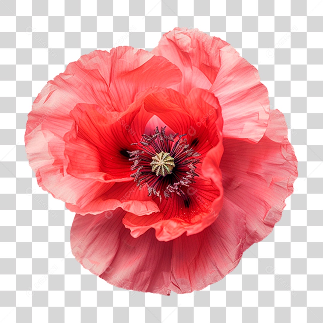 Flor Vermelha PNG Transparente