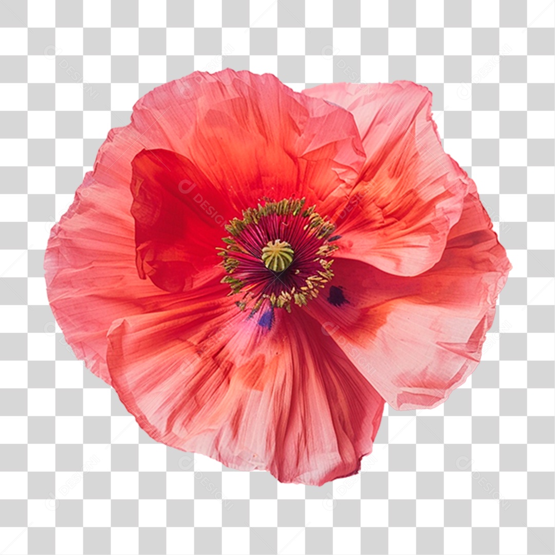 Flor Vermelha PNG Transparente