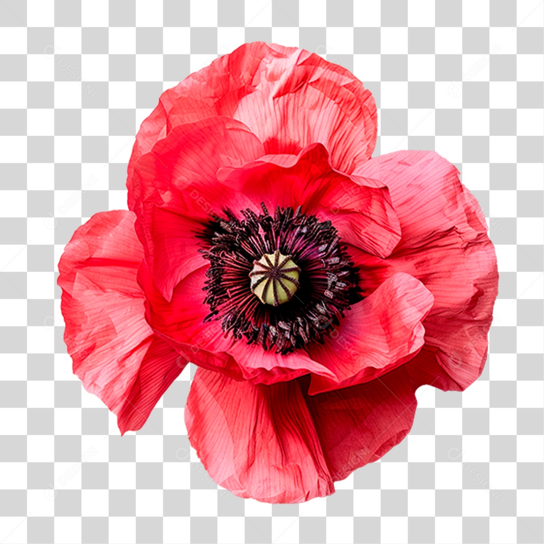 Flor Vermelha PNG Transparente