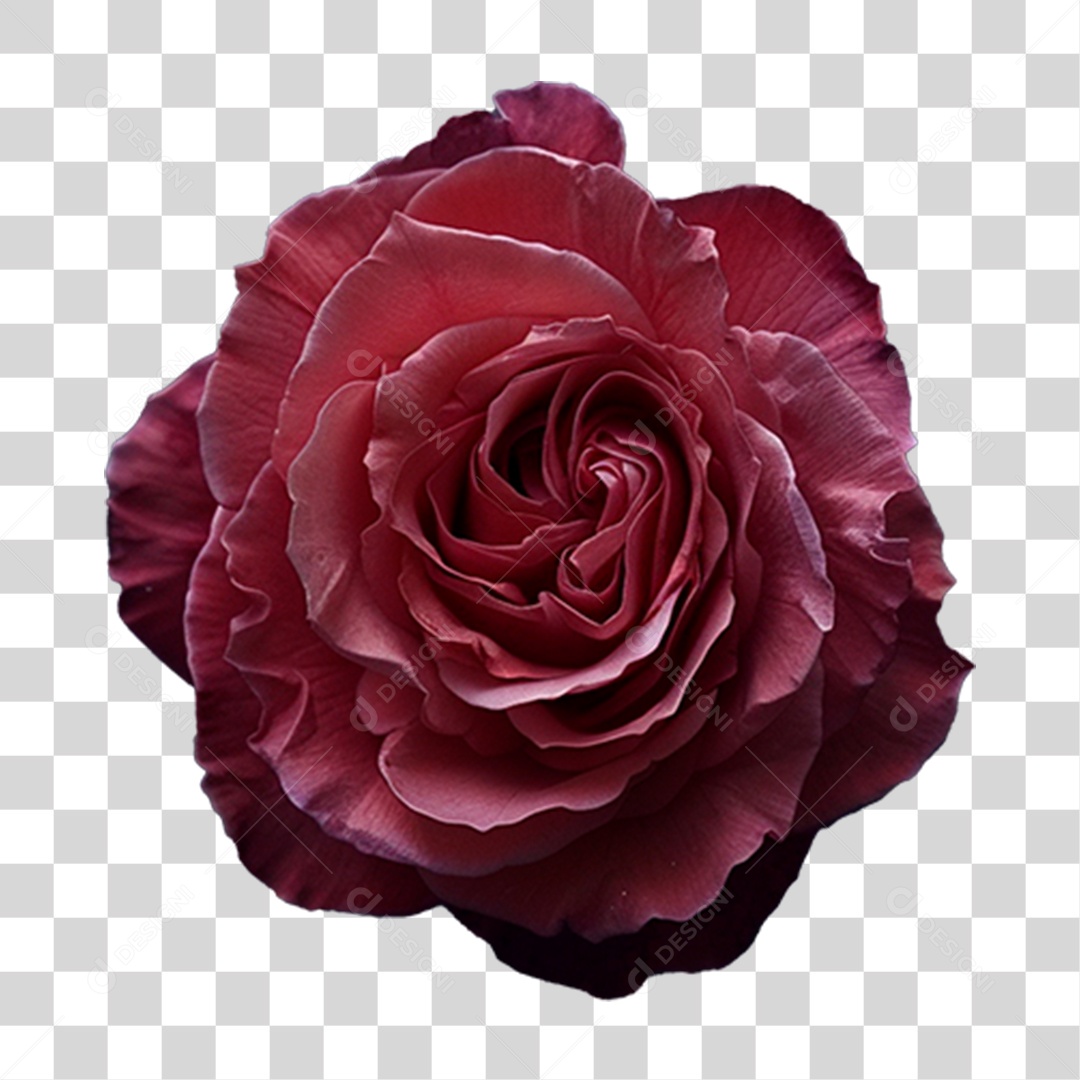 Flor Roxa PNG Transparente