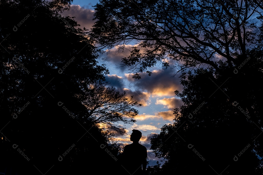 Silhueta de homem entre árvores com céu azul nublado