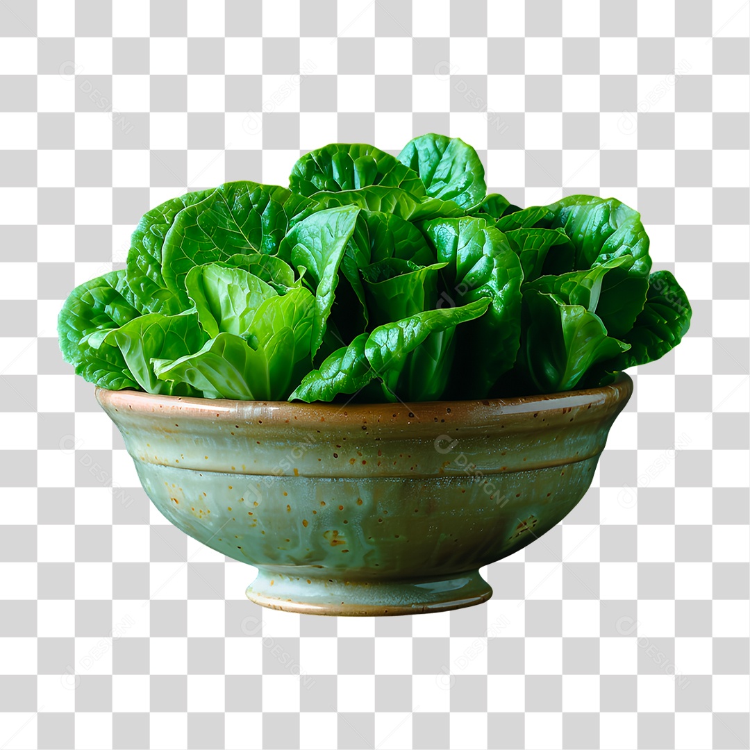 Tigela de Folhas Verde PNG Transparente