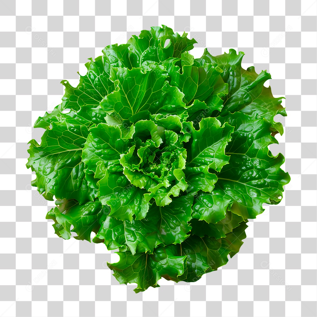 Alface PNG Transparente