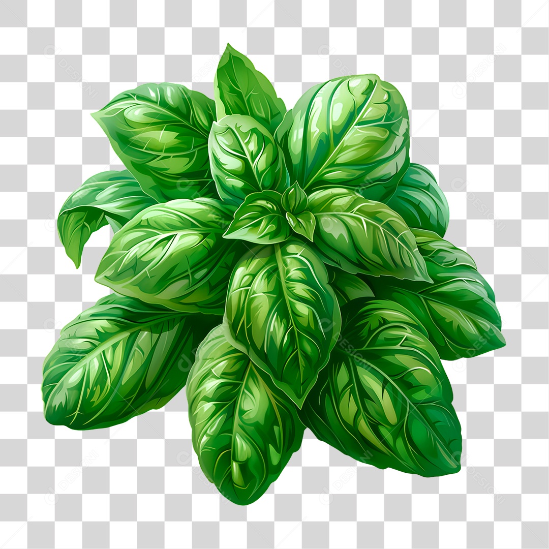 Planta PNG Transparente