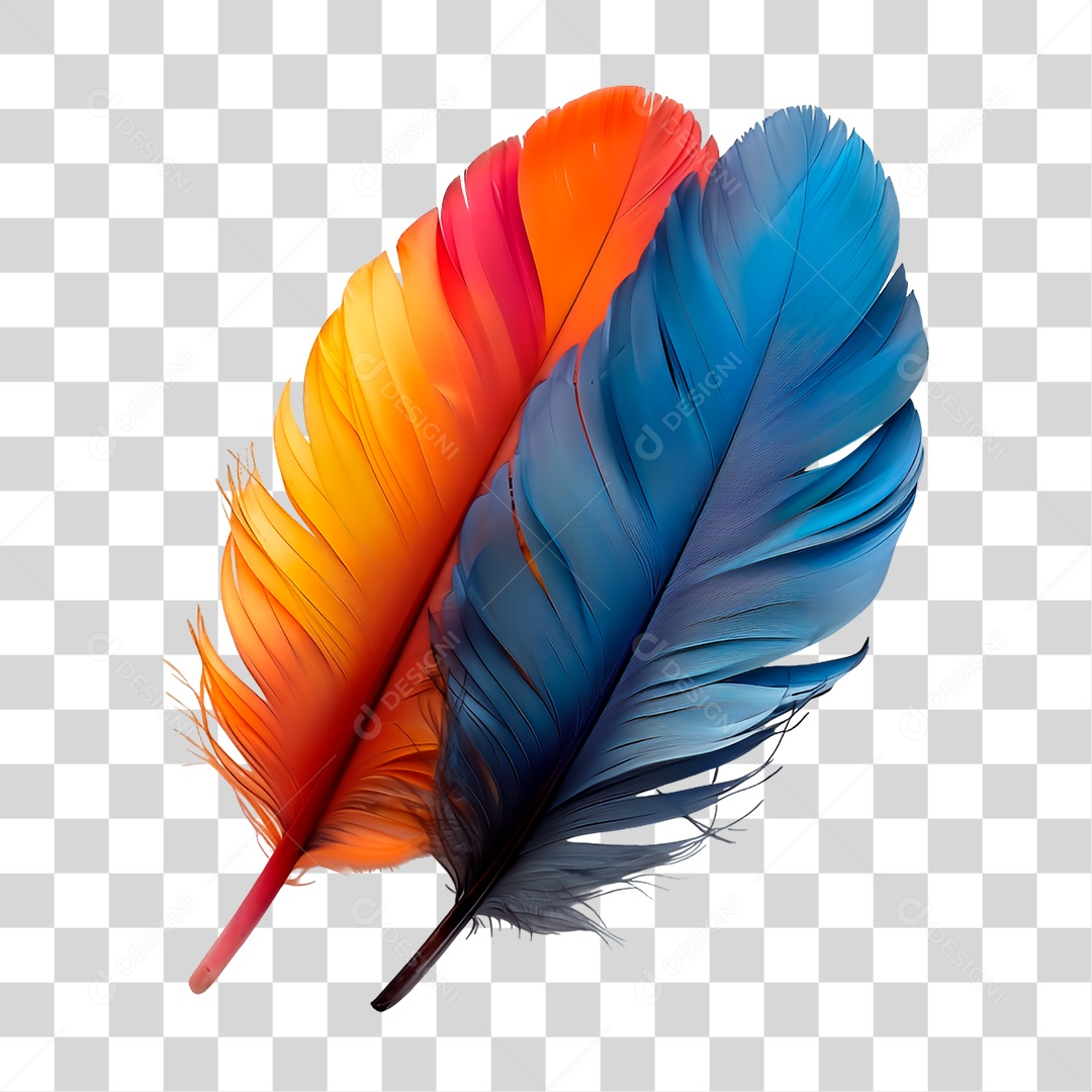 Penas PNG Transparente