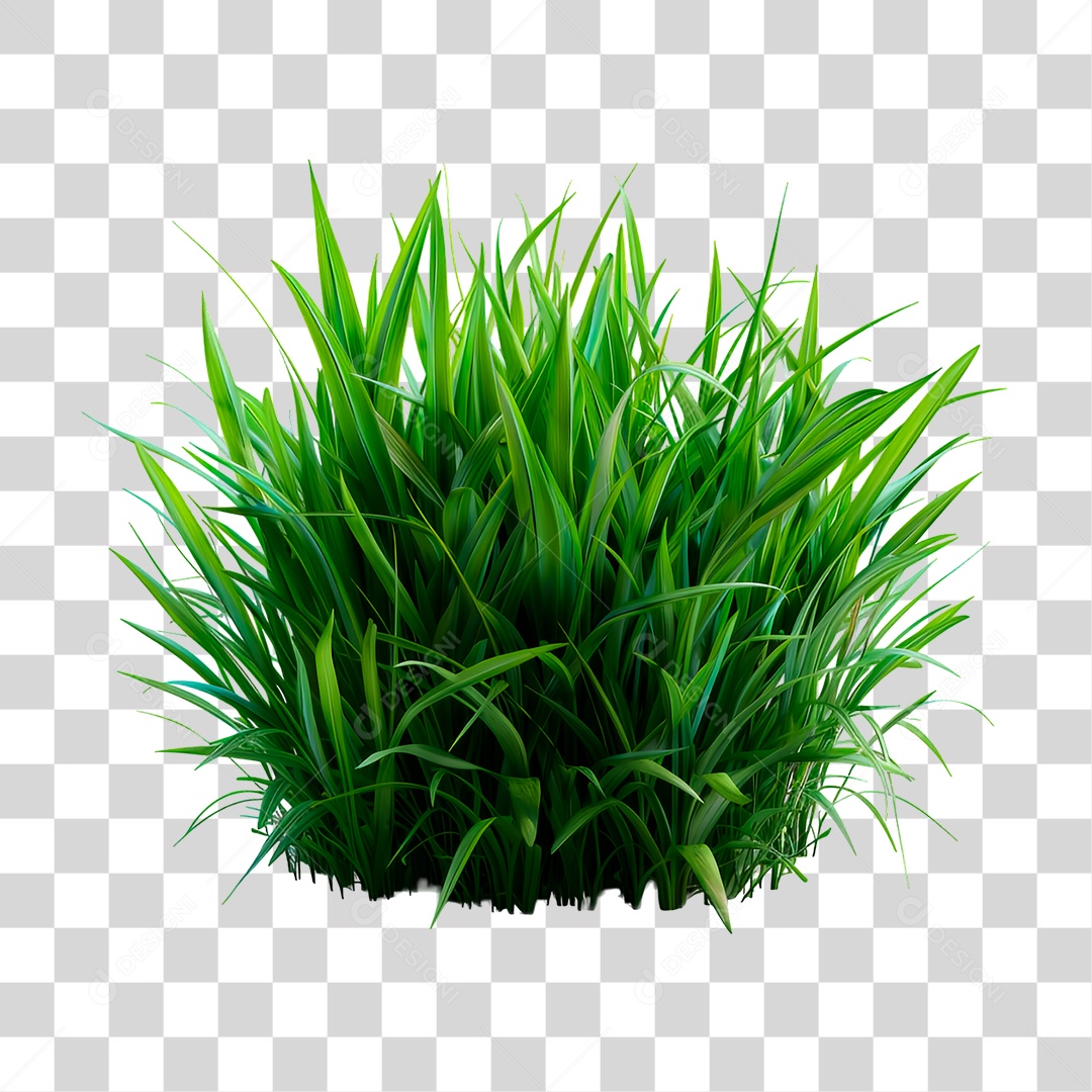 Capim Verde PNG Transparente